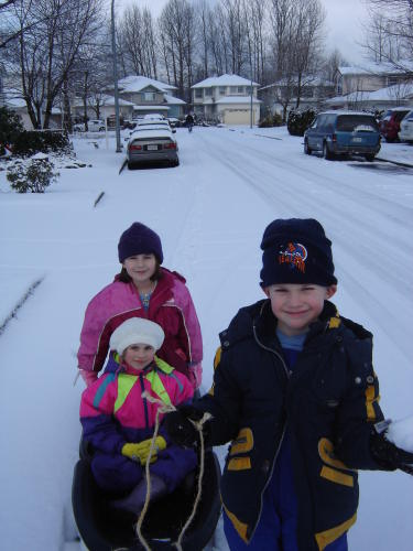 toby pulling the sled