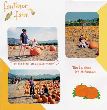 pumpkin patch