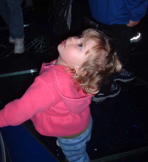 aly in spaceship earth