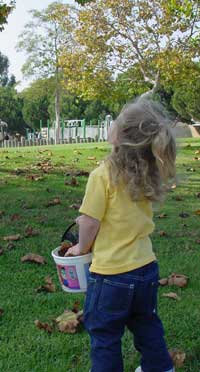 waiting for a leaf to fall