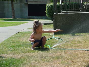 aly and the sprinkler