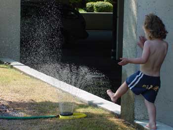 aly and the sprinkler