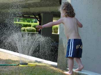 aly and the sprinkler