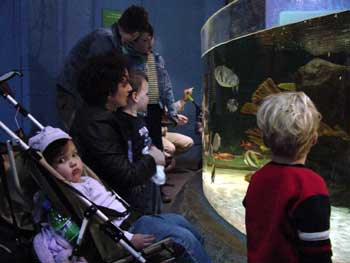 heather, ana, michael and toby watching the fish