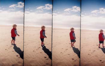 toby at the beach