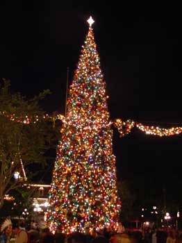 the main street tree