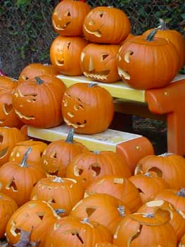 the pumpkins