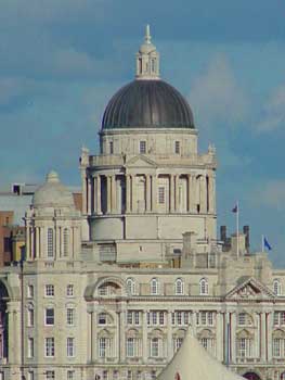 the liver building