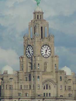 the liver building