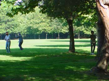 more tai chi in the park