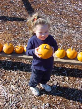 baby pumpkin