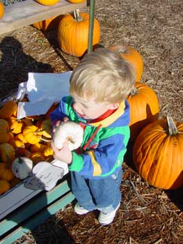 baby pumpkin