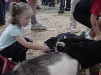 aly with the goats