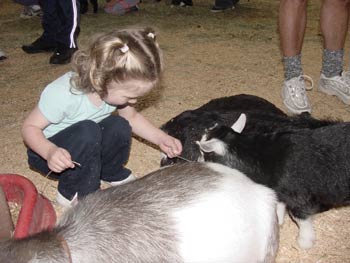 aly with the goats