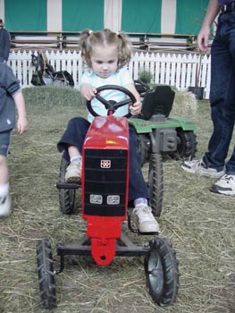 toby on a tractor