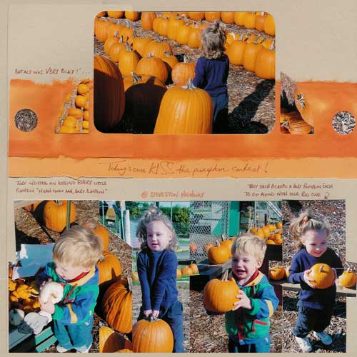 pumpkin patch