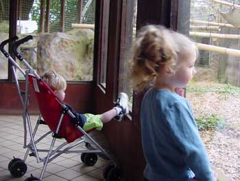 toby and aly watching the monkeys