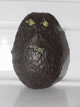 avocado