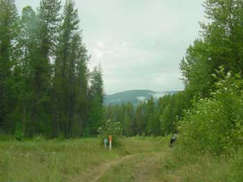 lane to the campsite