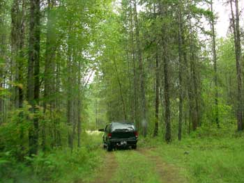 lane to the campsite