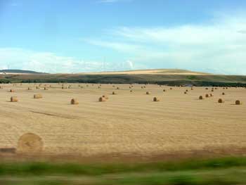 haystacks