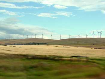 windfarm