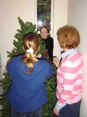 putting up the tree