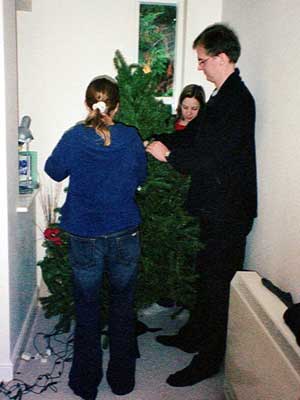 putting up the tree