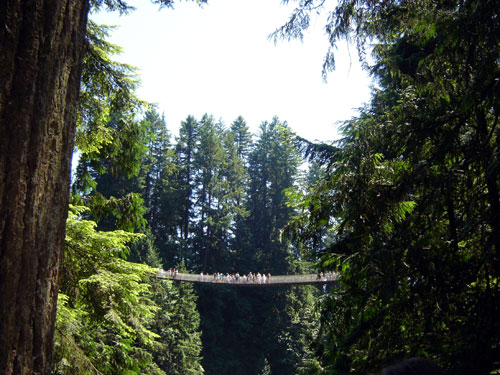 capilano suspension bridge