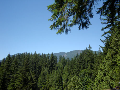 from capilano suspension bridge