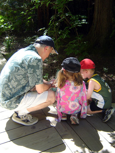 reading the information board together