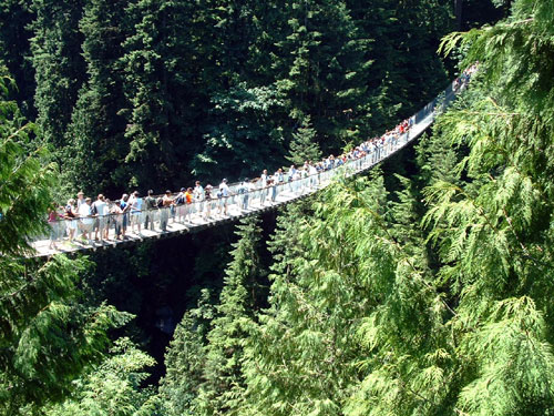 capilano suspension bridge