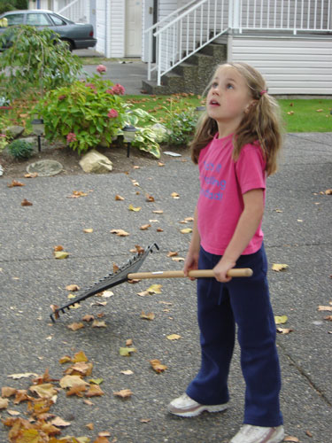 waiting for a leaf to fall