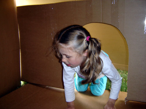 cardboard house