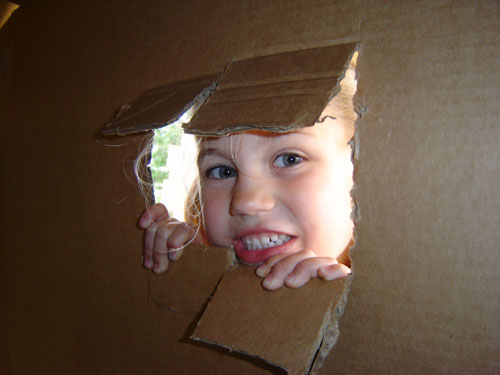 cardboard house