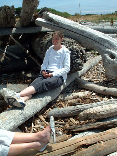 driftwood sofa