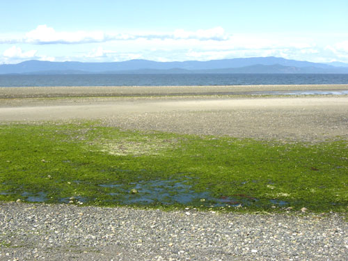 qualicum beach