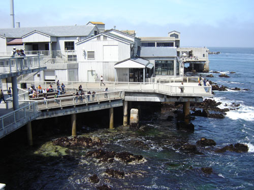 monterey aquarium