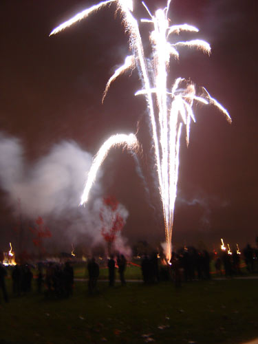 fireworks at hamilton