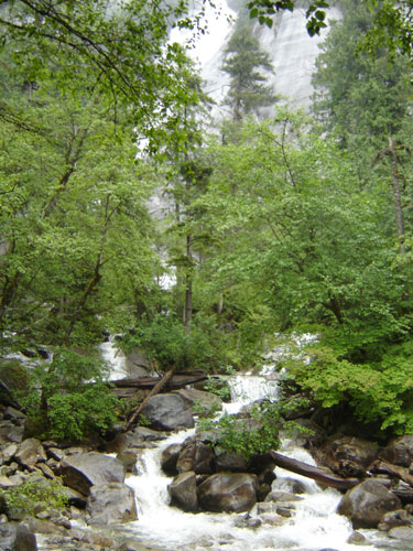 shannon falls