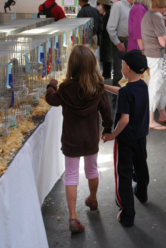 aly and toby holding hands