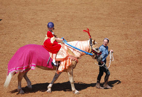 aly in the horse show