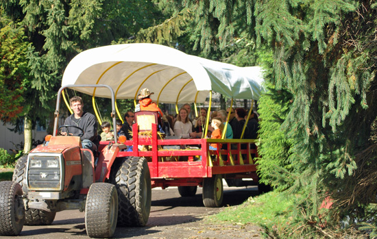 the hayride