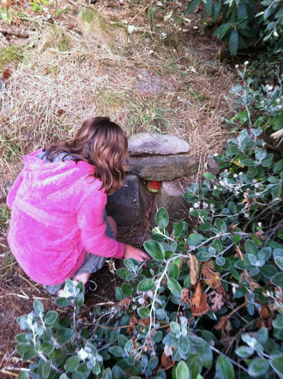 otter bay cache