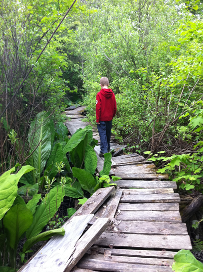 hidden boardwalk