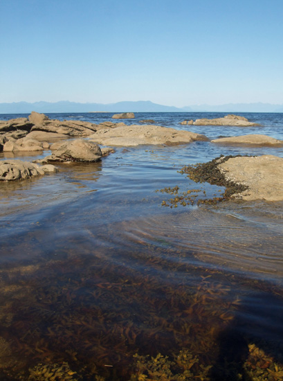 newcastle island