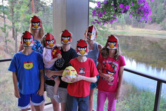 angry birds party