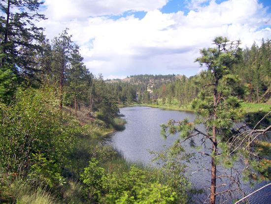 view from the balcony