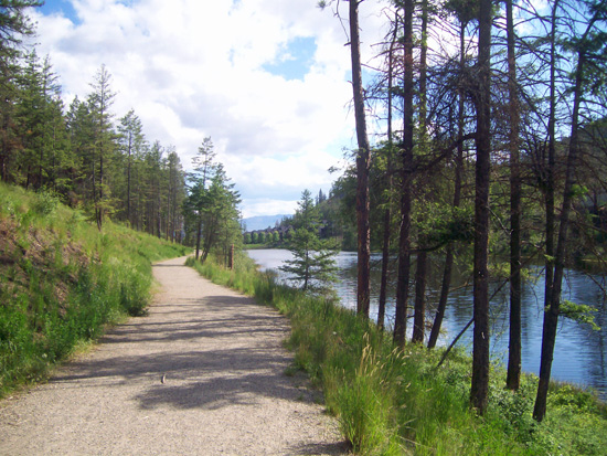 view looking back towards the house