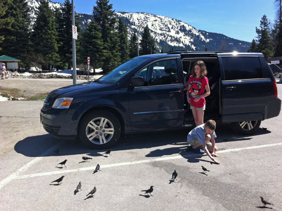 feeding birds on the coquihalla